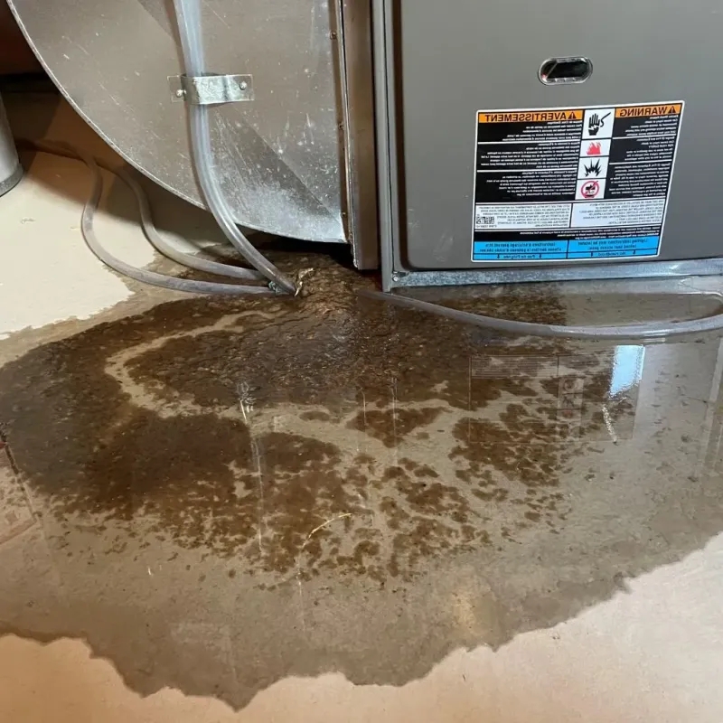 Pipe Burst and Leak Restoration in Amelia Court House, VA